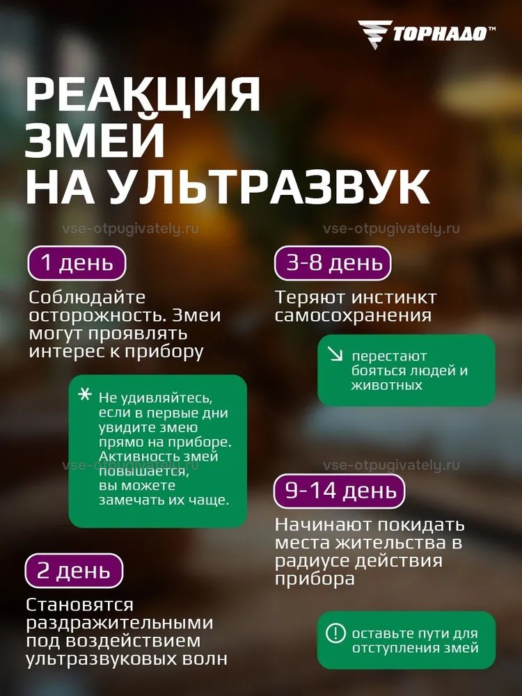 Отпугиватель змей Торнадо БОЗ.02 — инфографика: реакция змей на прибор по дням — в первые дни интерес к прибору и раздражительность, потом змеи уходят из зоны действия, им оставляют пути отступления