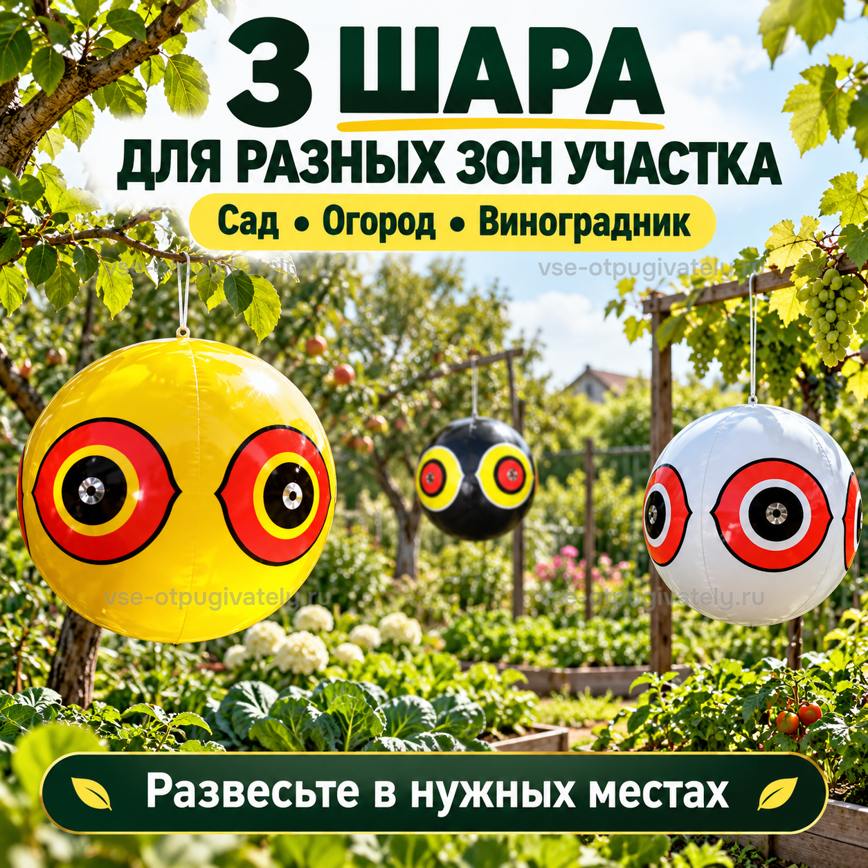 Шары с глазами хищника ⌀40 см, 3 шт. — инфографика: где развесить — шары на ветках и перголе над садом, огородом и виноградником, каждый в своей зоне участка