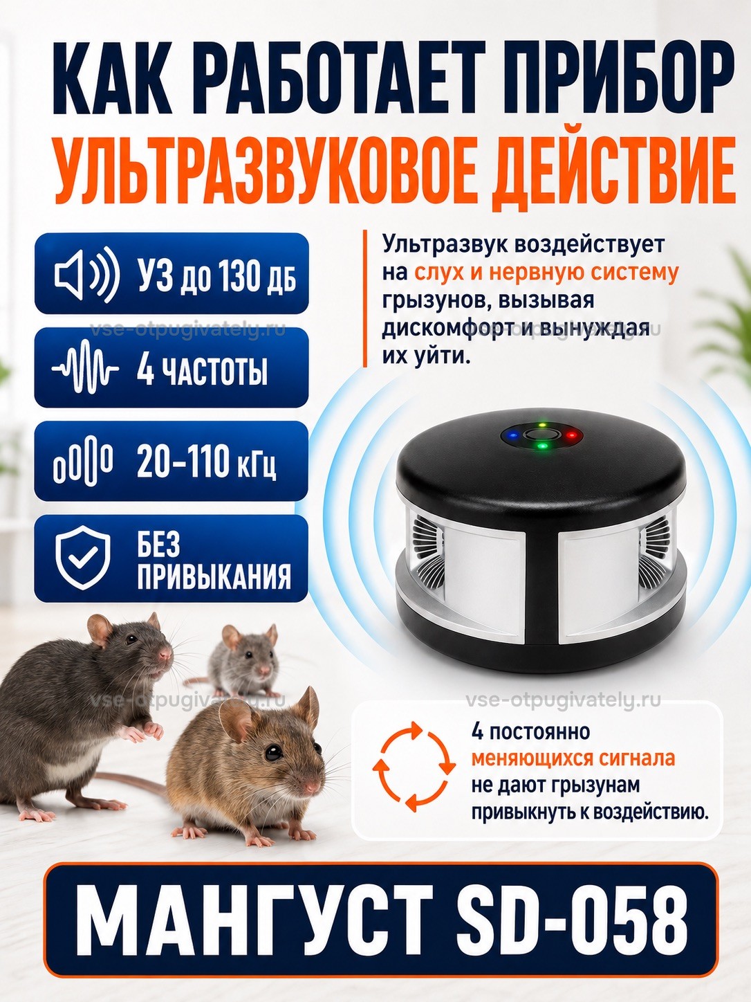 Отпугиватель грызунов Мангуст SD-058 — инфографика: как работает прибор — ультразвук беспокоит крыс и мышей, четыре сигнала постоянно чередуются, привыкания нет; крысы у круглого корпуса
