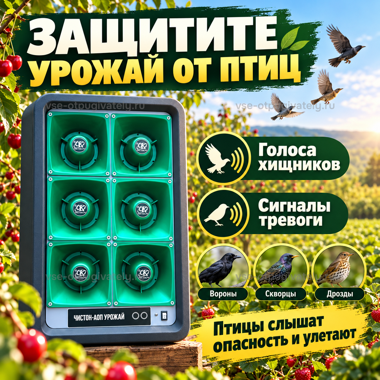 Отпугиватель птиц Чистон-АОП Урожай — инфографика: принцип работы — динамик воспроизводит крики хищных птиц и тревожные сигналы стаи, вороны, скворцы и дрозды пугаются и улетают с поля