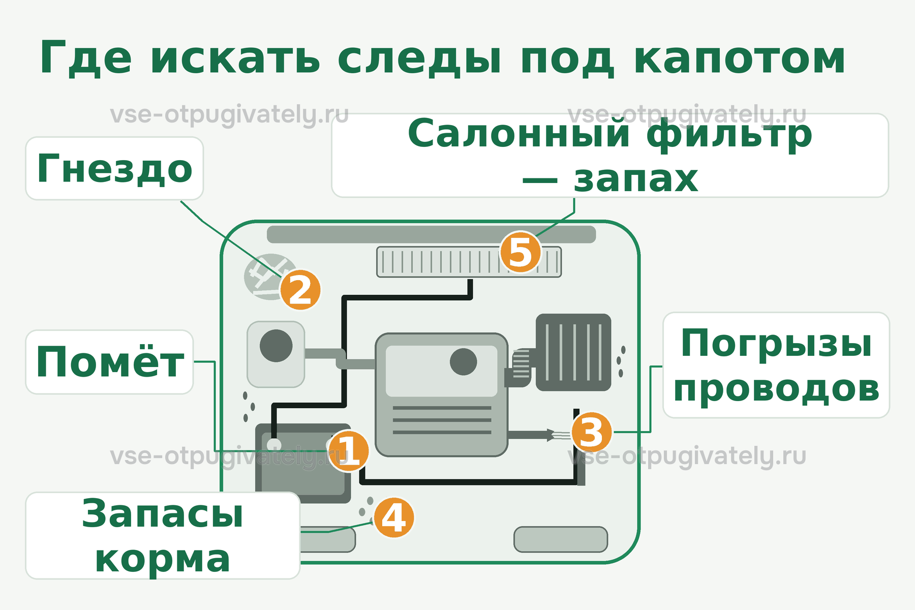 Схема моторного отсека: где искать следы мыши — помёт у аккумулятора и фильтра, гнездо под капотом, погрызы проводов, корм в полостях, салонный фильтр