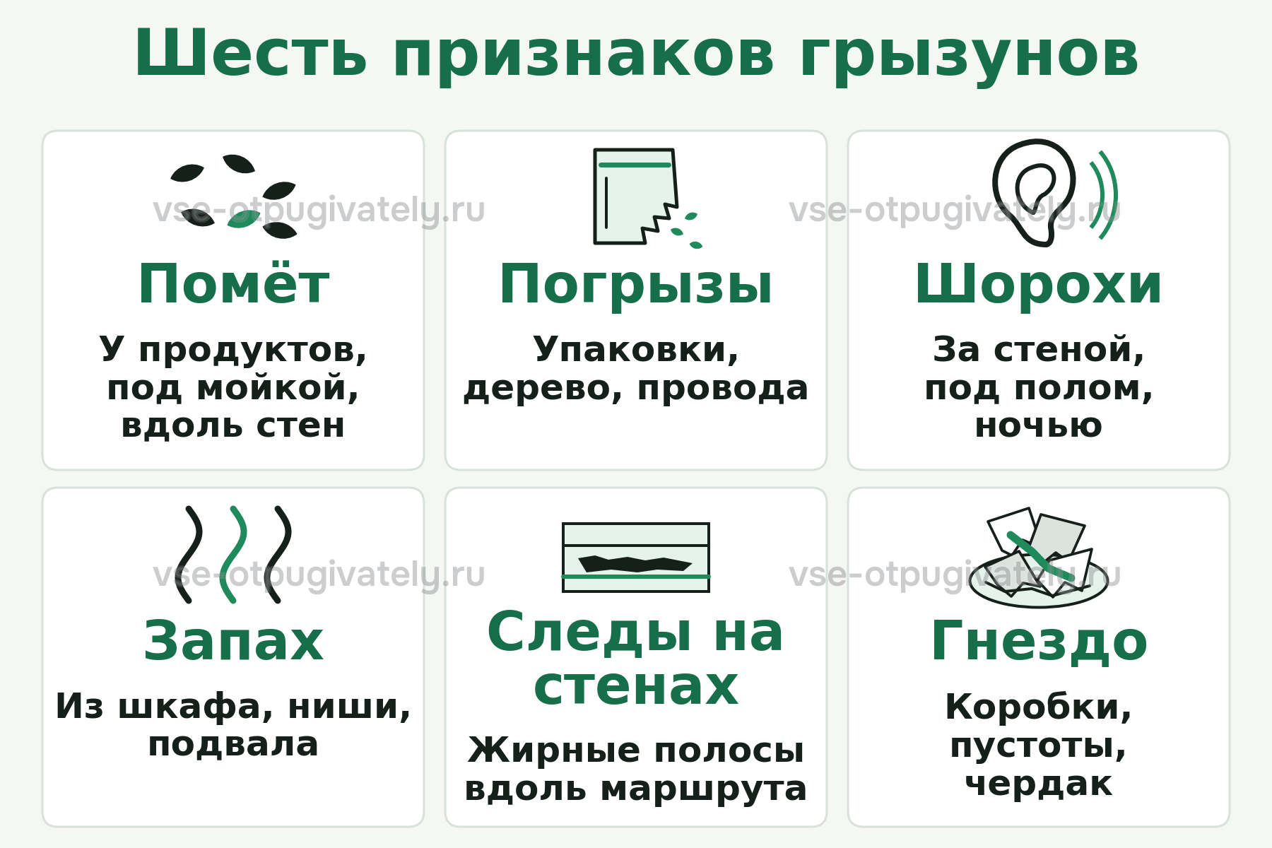 Шесть признаков грызунов в доме: помёт, погрызы, шорохи, запах, следы на стенах, гнездо