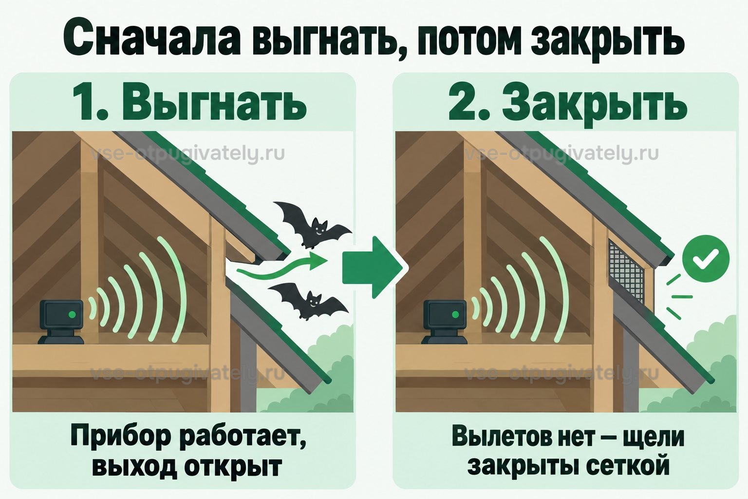 Порядок действий: сначала прибор при открытом выходе, после ухода летучих мышей — сетка на щелях