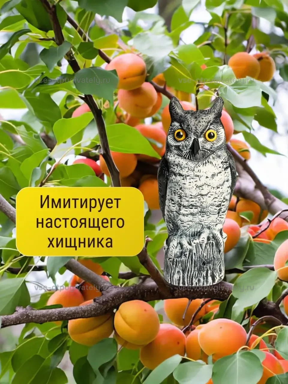 Визуальный отпугиватель птиц «Сова-2» — инфографика: силуэт хищника — сова с жёлтыми глазами на ветке абрикоса среди спелых плодов имитирует настоящего хищника