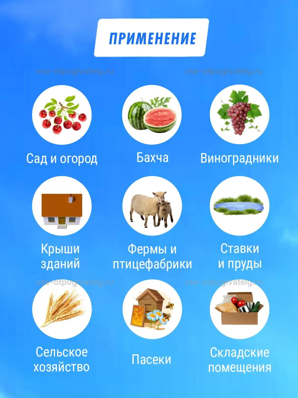 Комплект воздушный змей Коршун и флагшток 6 м - отпугиватель птиц — где применяют: сад и огород, бахча, виноградники, крыши, фермы и птицефабрики, пруды, поля, пасеки и склады