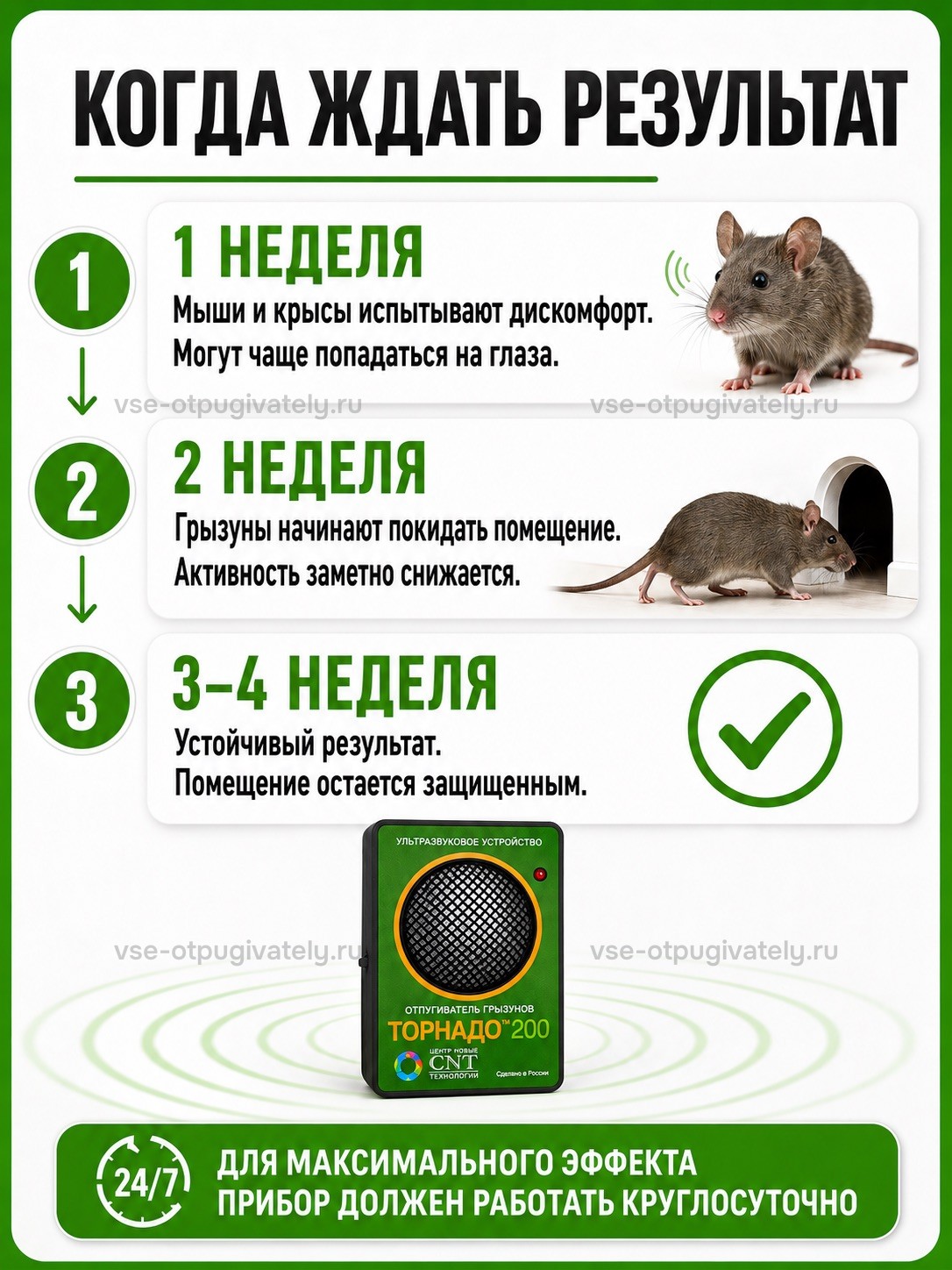Отпугиватель грызунов Торнадо 200 — инфографика: когда ждать результат — этапы по неделям: беспокойство мышей и крыс, уход из помещения, защищённый дом