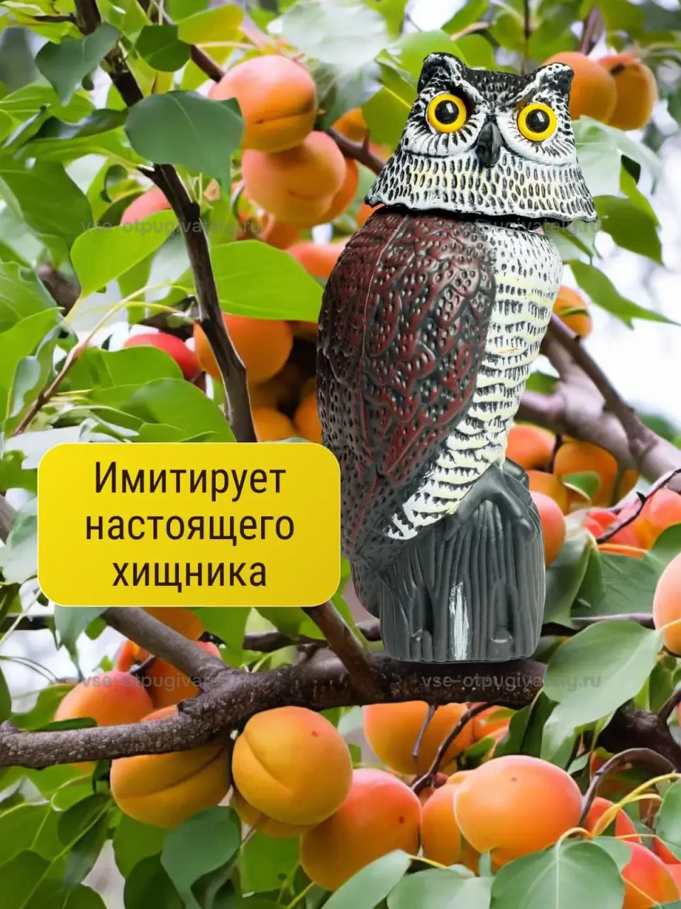Визуальный отпугиватель птиц Коршун «Филин» — инфографика: силуэт хищника — филин с жёлтыми глазами на ветке абрикоса с плодами имитирует настоящего хищника