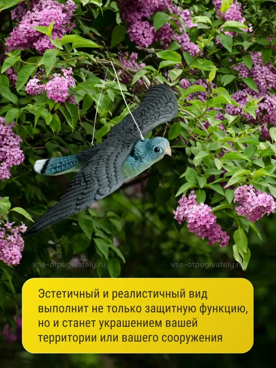 Визуальный отпугиватель птиц «Сокол» — инфографика: фигура в саду — сокол на нити среди цветущей сирени, отпугиватель и украшение участка или постройки