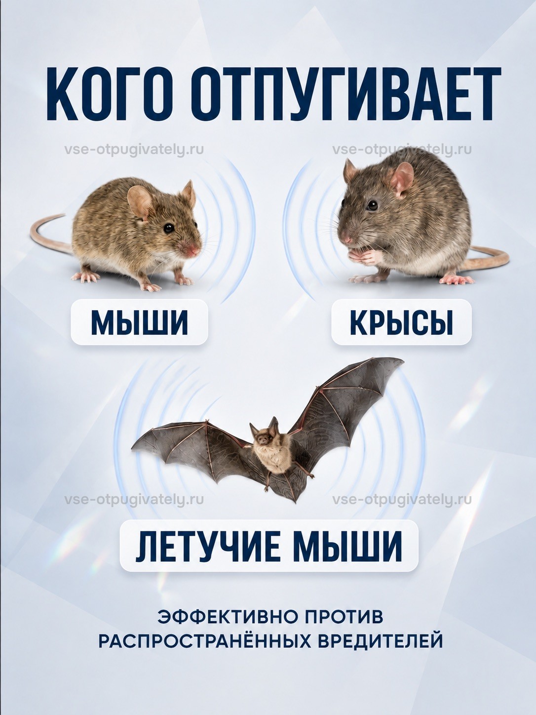 Отпугиватель грызунов Электрокот Классик — инфографика: кого отпугивает — мышей, крыс и летучих мышей, распространённых домашних вредителей
