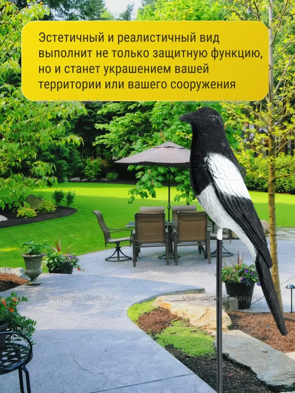 Визуальный отпугиватель птиц «Сорока» — инфографика: фигура во дворе — сорока на стержне у садовой дорожки и обеденной зоны с зонтом, отпугиватель и украшение территории