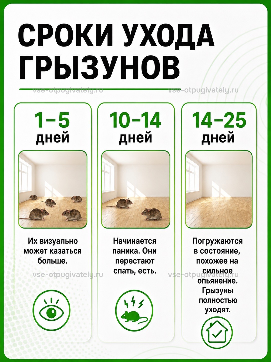 Отпугиватель грызунов Чистон М — инфографика: когда ждать результат — три этапа ухода грызунов: сначала мышей кажется больше, затем паника и отказ от еды, потом грызуны уходят