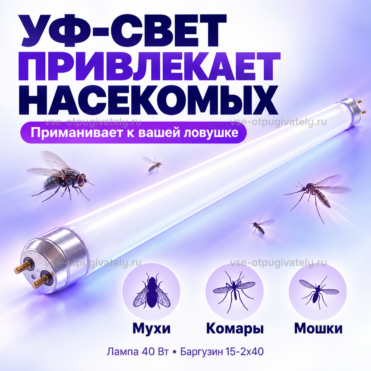 Инсектицидная лампа 40 Вт для Баргузин 15-2х40 — инфографика: ультрафиолет привлекает насекомых — белая трубка в фиолетовом сиянии, вокруг летят насекомые, свет приманивает их к ловушке