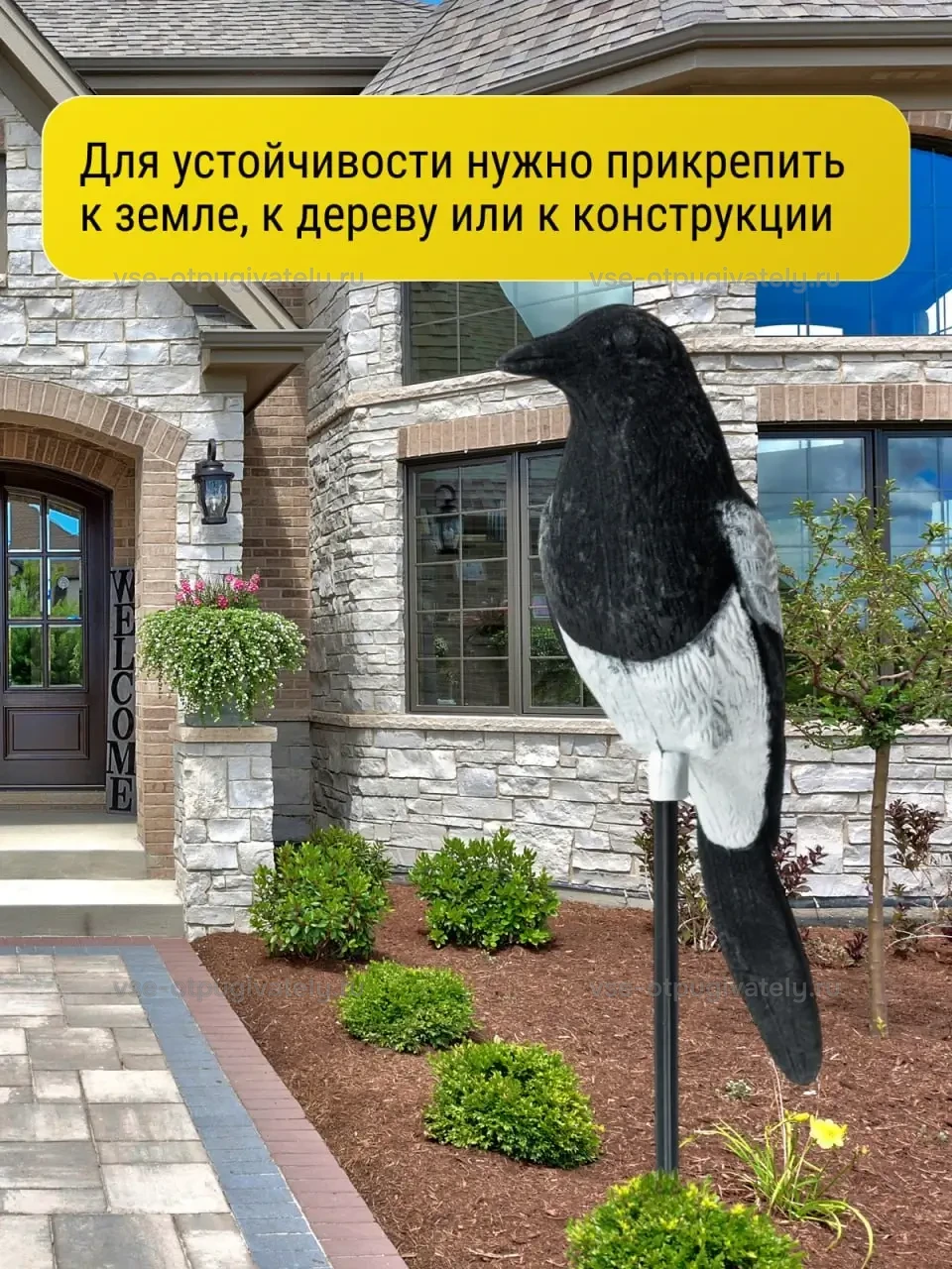 Визуальный отпугиватель птиц «Сорока» — инфографика: как установить — крепление стержня к земле, дереву или конструкции, сорока у входа в каменный дом
