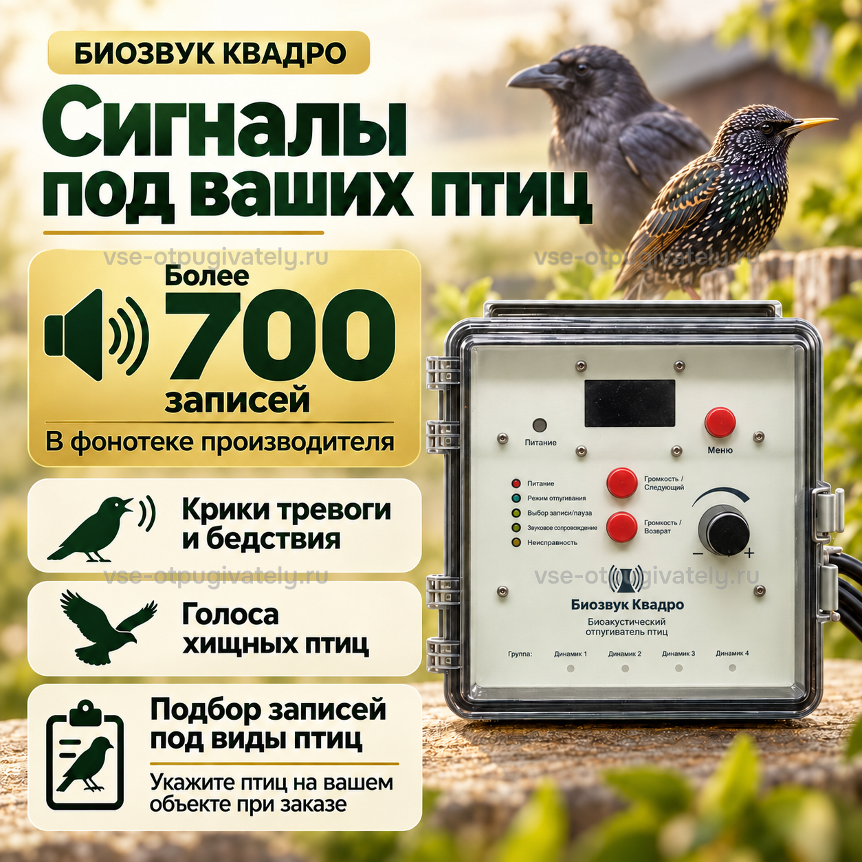 Отпугиватель птиц Биозвук Квадро с четырьмя динамиками — инфографика: фонотека звуковых сигналов — крики тревоги и бедствия, голоса хищных птиц, записи под птиц вашего объекта, ворона и скворец