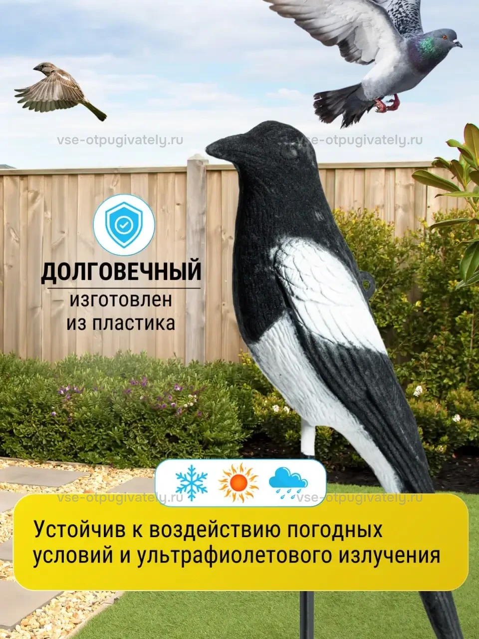 Визуальный отпугиватель птиц «Сорока» — инфографика: материал — пластиковая сорока, стойкая к снегу, солнцу, дождю и ультрафиолету, над забором пролетают голубь и воробей