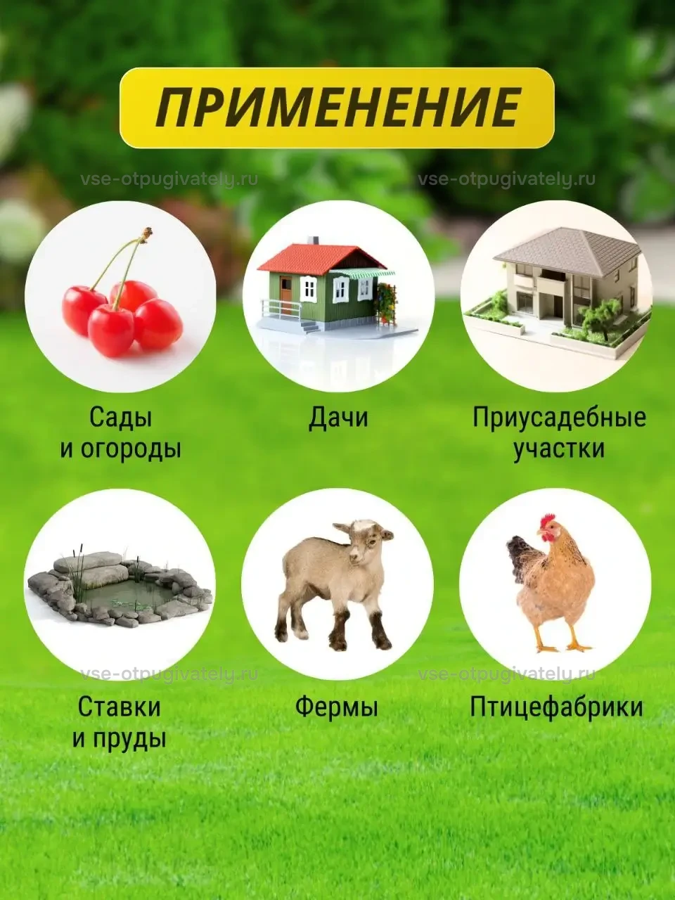 Визуальный отпугиватель птиц «Сова-2» — инфографика: где применяют — вишнёвый сад, дачный домик, загородный участок, пруд среди камней, ферма и птицефабрика