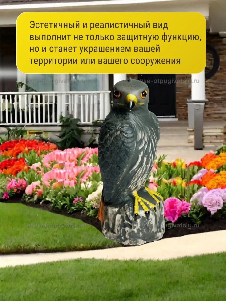 Визуальный отпугиватель птиц «Ястреб» — инфографика: фигура в саду — ястреб у цветочной клумбы перед крыльцом дома, отпугиватель и украшение участка или постройки
