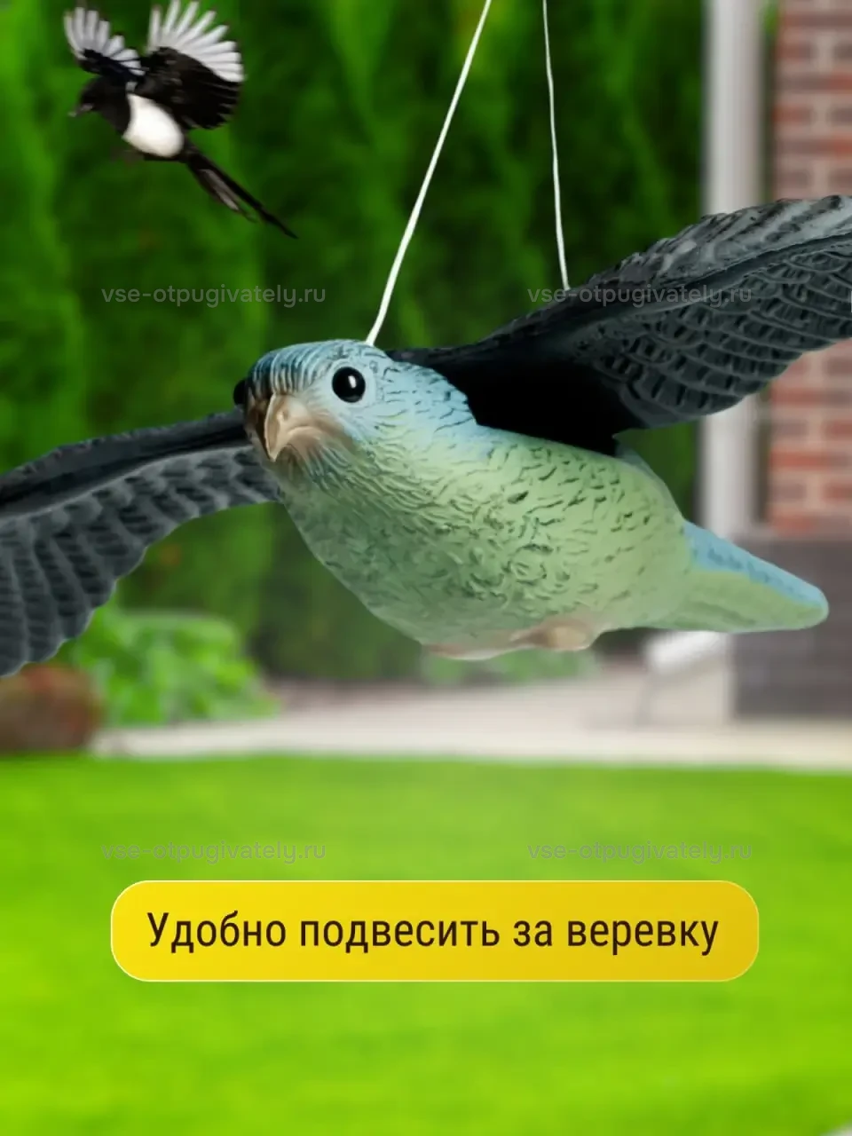 Визуальный отпугиватель птиц «Сокол» — инфографика: подвес за верёвку — фигура сокола висит на белой нити над газоном у дома, рядом пролетает сорока